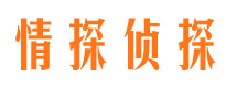 太子河外遇调查取证